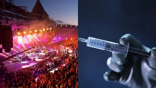 Syringe Attacker Bio-Warfare Terrorist Attack in France – The Antiwhite Report